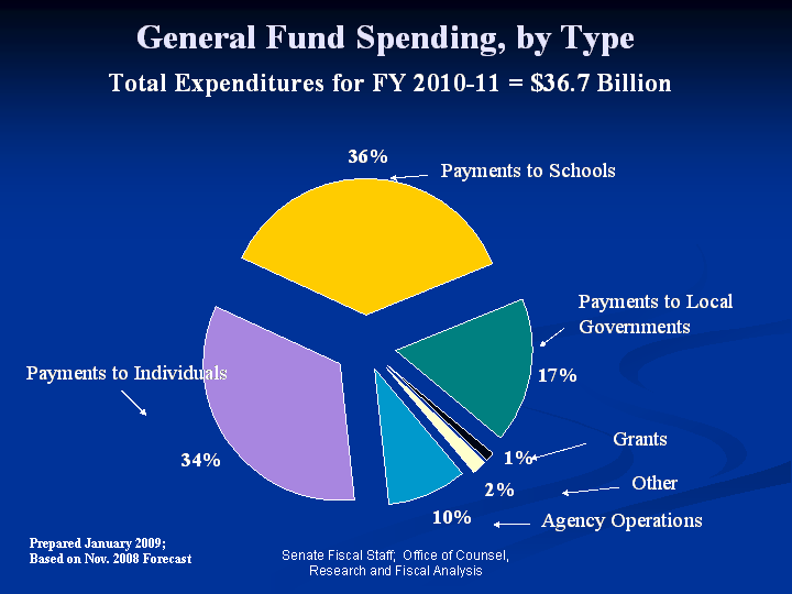 Minnesota State Budget Pie Chart